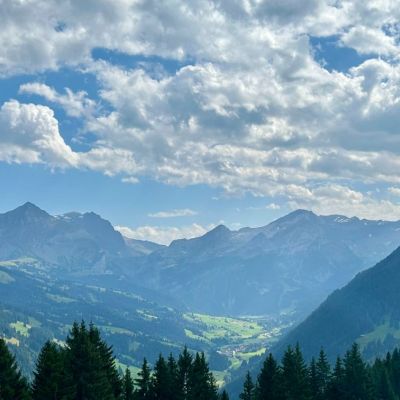 IMG_6532.jpg