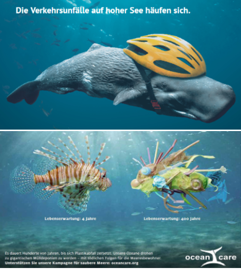 Ocean Care