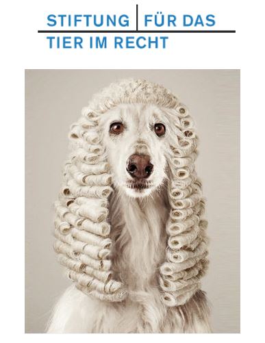 Tier im Recht